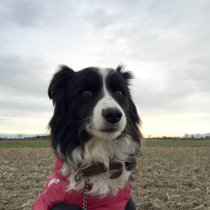 D18befed be1f 45ac 9276 b7751c09f010 1547078621325