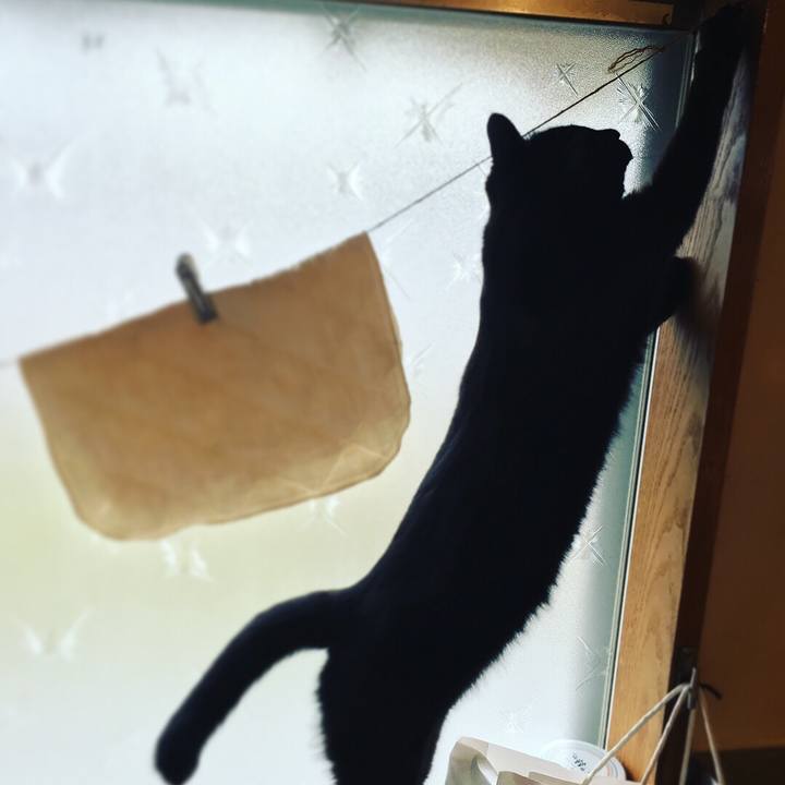 D18bf212 edb9 4497 9b89 1403d6230a2e 1516671884624