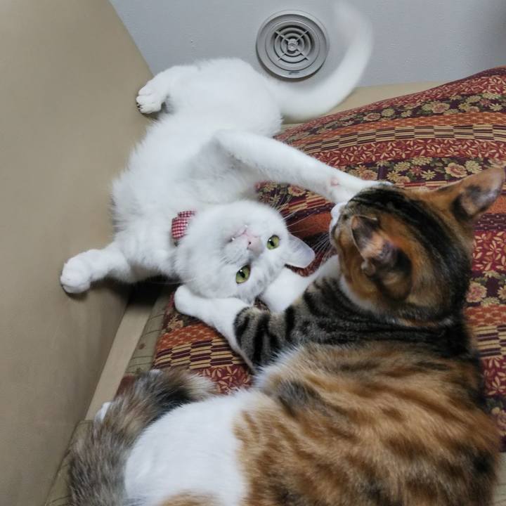 D18c0065 794e 4b12 a5d2 ae5ec855ea3a 1635912532317