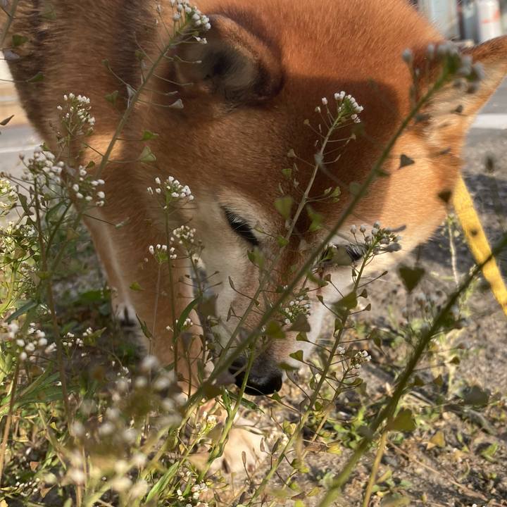 D18c0e7f fb8e 4ad8 8634 9d7addf43293 1646649988378