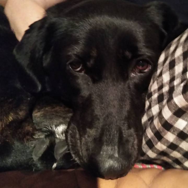 D18c44fe 62a5 4901 b31c fd8bb655d585 1561034416094