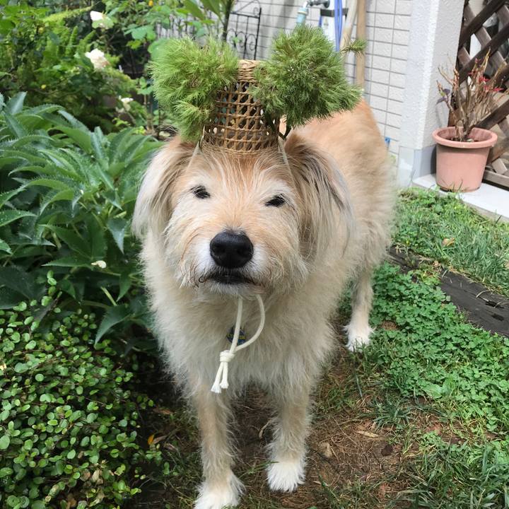 D18c5fbd 5b3c 4eb4 8c1d b613c951235d 1591057088354