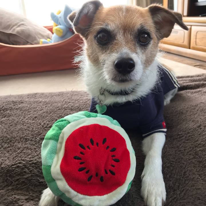 D18c7e53 b7ae 4037 ae10 f78824b1b0e1 1564203613621