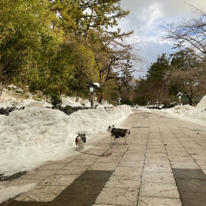 D18c9b1b 36a8 4999 a6f2 46f4dfb8a591 1739057035943