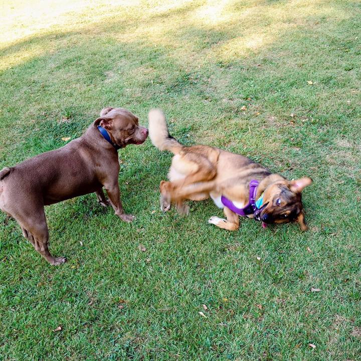 D18cc990 8a1d 4a13 acf0 7e28f6bab931 1754183277768