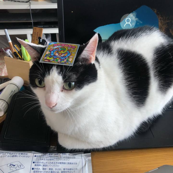 D18cd4c1 5585 408e bd54 369d163b3728 1590990718292