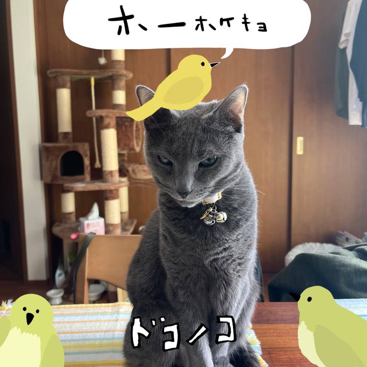 D18cdcb4 8607 4ac0 b91a e26990c70a2d 1710992875299