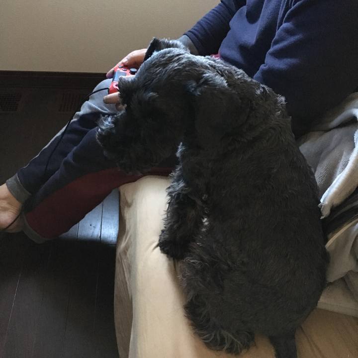 D18ce2fa 7fb9 453f bc52 8a23126a5b6d 1550369834359