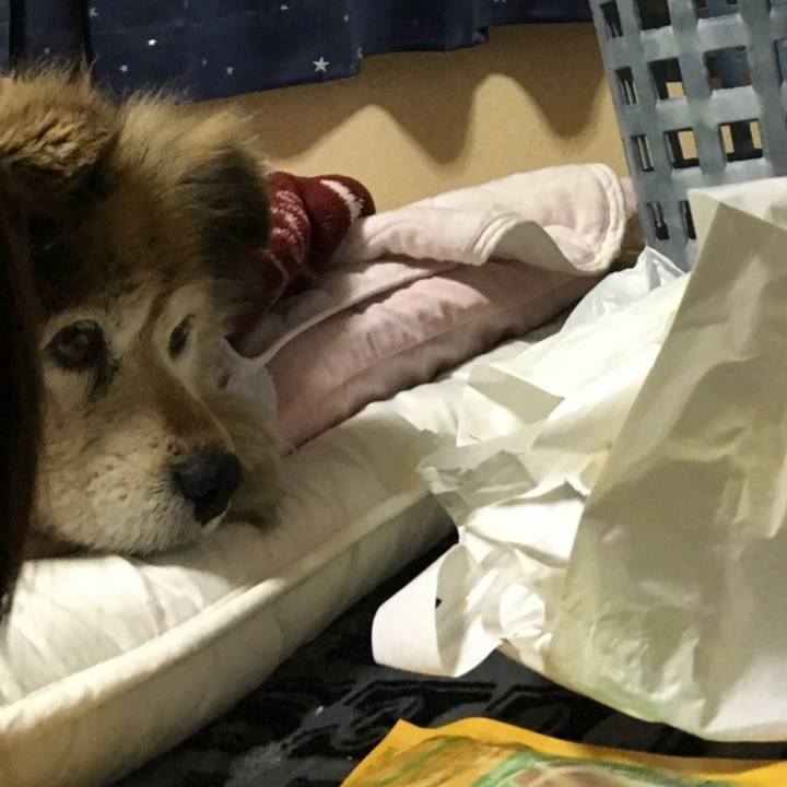 D18ce8a7 e019 4d82 a534 8305cf5e8432 1589061828356