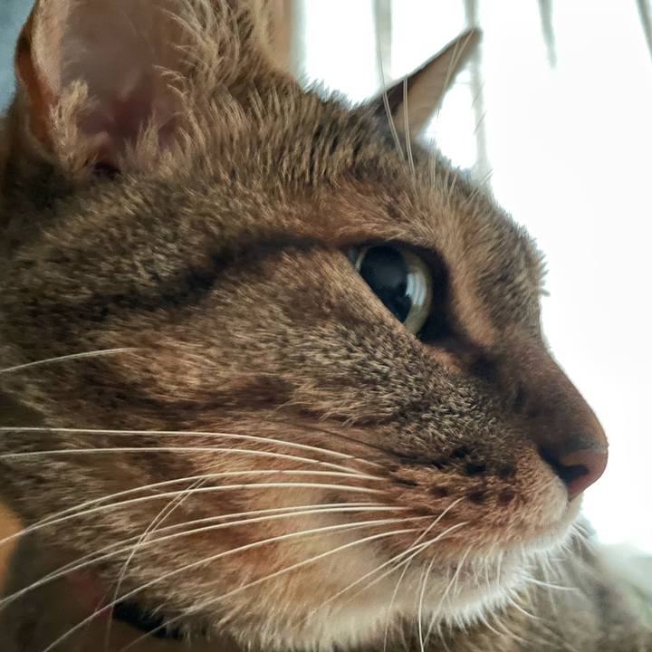 D18d1560 00c0 4a1c 94e3 b63ae77a1bfa 1654946021450