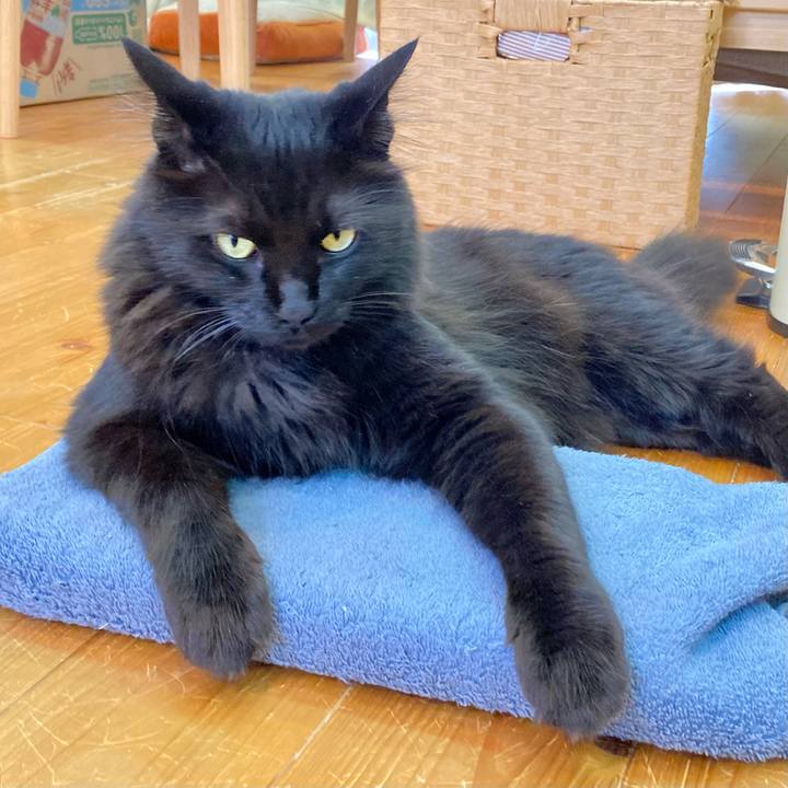 D18d2cb2 c89d 4ca7 9eaa 080bddb04077 1751504523117