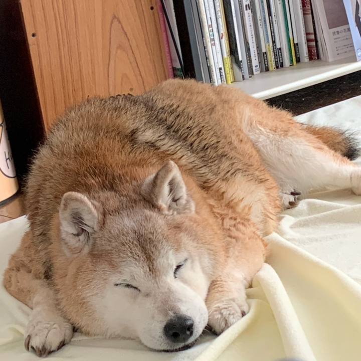 D18d5548 fdc8 4c4a a8db 262152c9c3f5 1683088848052