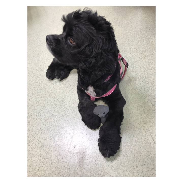 D18d6ae6 ad9b 486e a89a 4b2de1fa651f 1536820453174