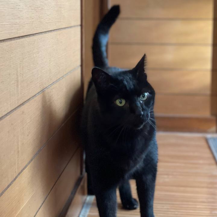 D18d6cba ac06 4b92 b602 5219fba20026 1617241889663