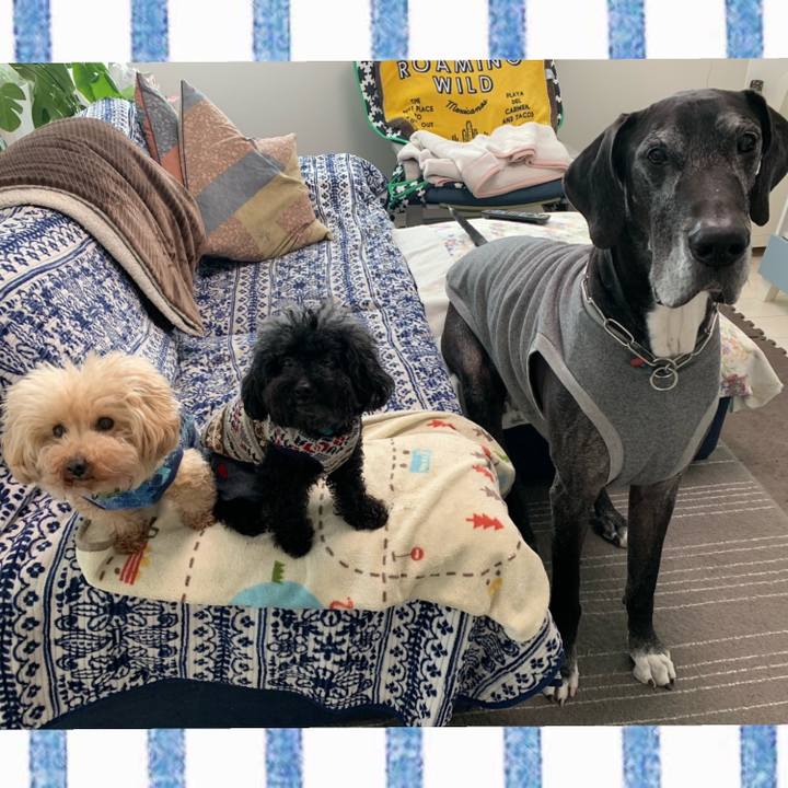 D18d6eda a9af 481d 873b f0b53f85ef8d 1585175535240