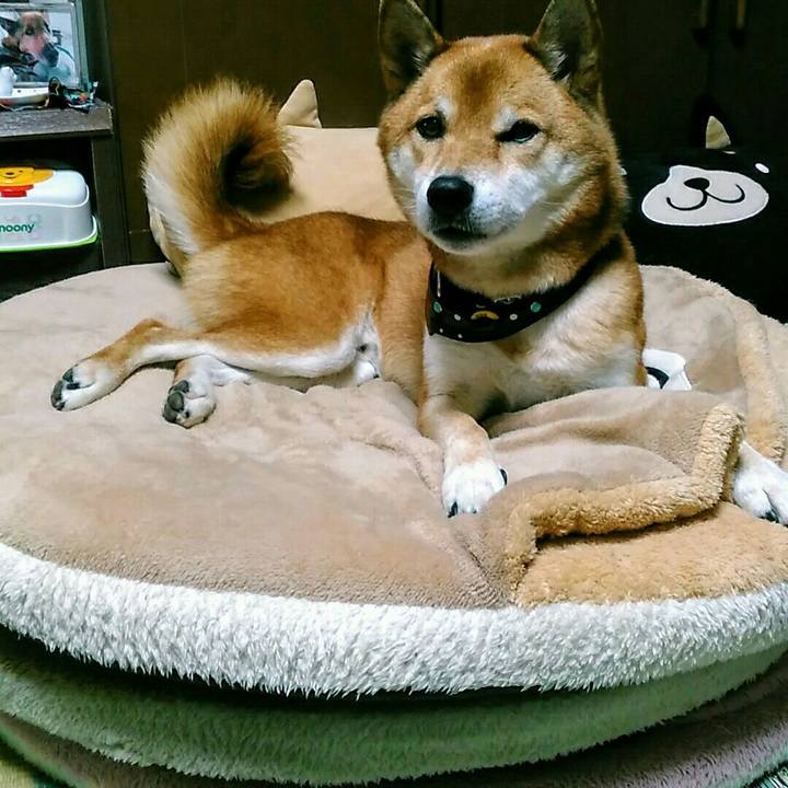 D18dff06 add2 49e7 ab94 15eae7868636 1571748317251