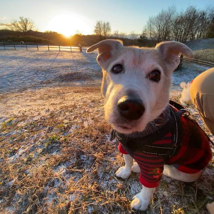 D18e1f73 da98 437a a928 35d928329349 1641013793015