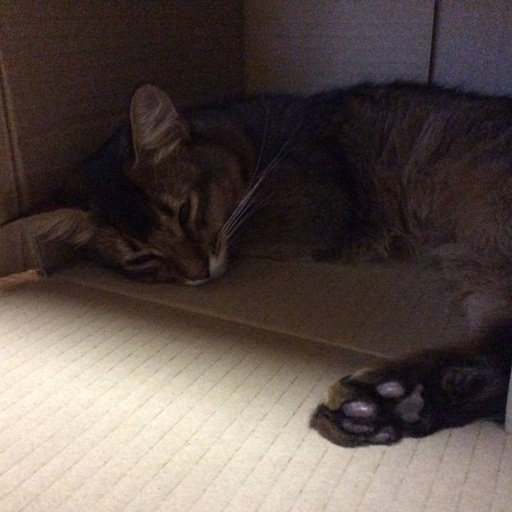 D18e2b85 83cb 4065 8166 2468f54d2de7 1567337652801