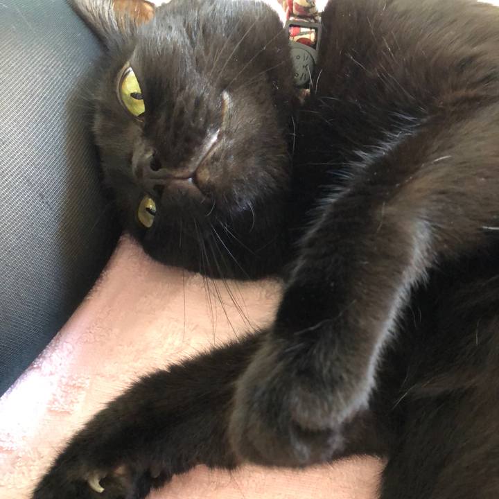 D18e33bf 32ef 4d4f af25 7e4fdbe6663e 1600495345390