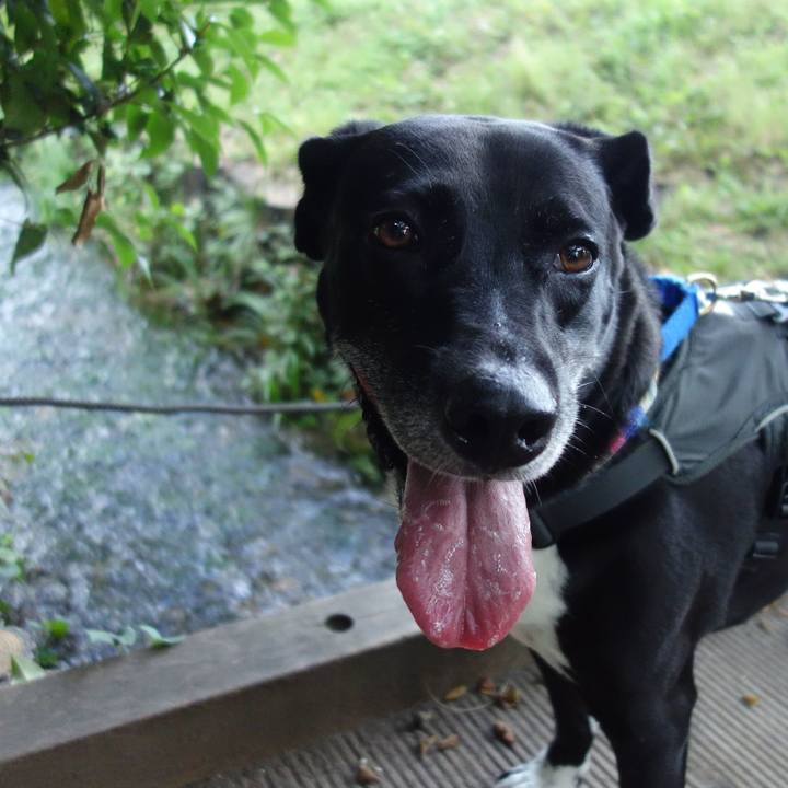 D18e3de8 4ca1 4c54 b4bd 4c0b5f5b514d 1660955381850