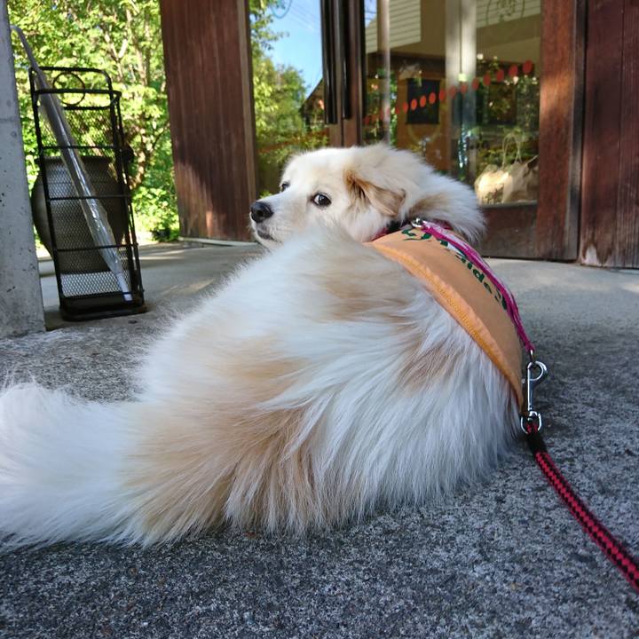 D18e46d0 51c5 4a3b bbe0 0ab8887f880a 1528873956591