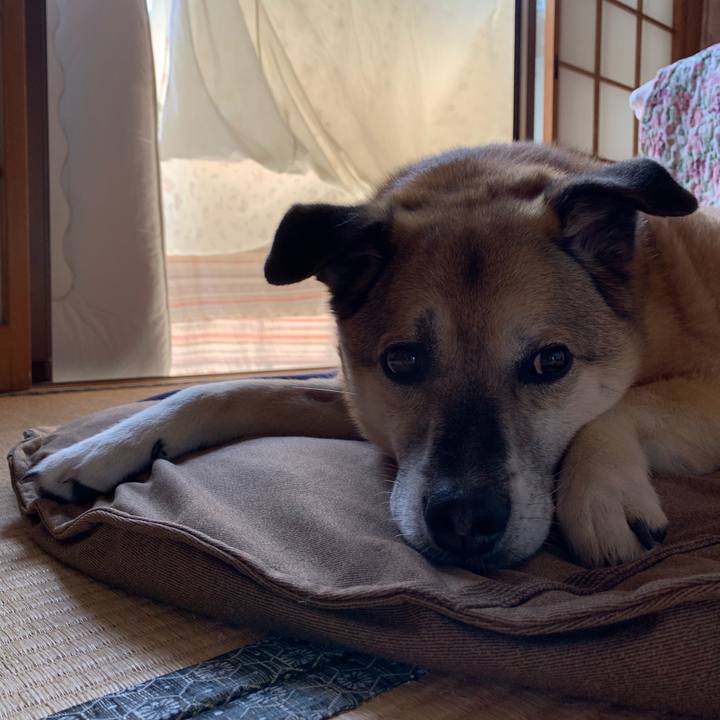 D18e95ce 1819 4081 a063 9ff97683275d 1588762491934