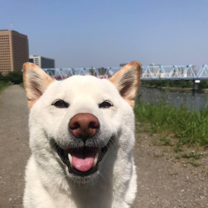 D18eaca8 3dca 498a 9f50 cdc49fab8212 1538786892206