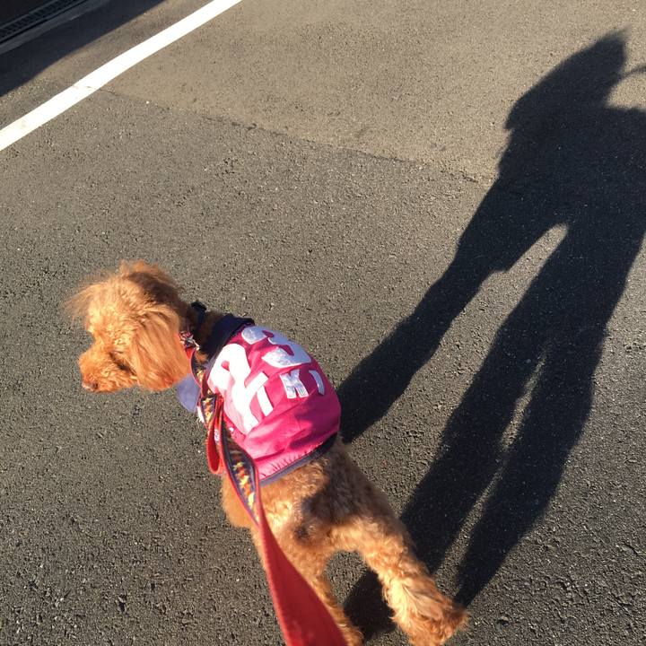 D18ec294 510c 490a 81bd 35d118c06fdf 1540624666499