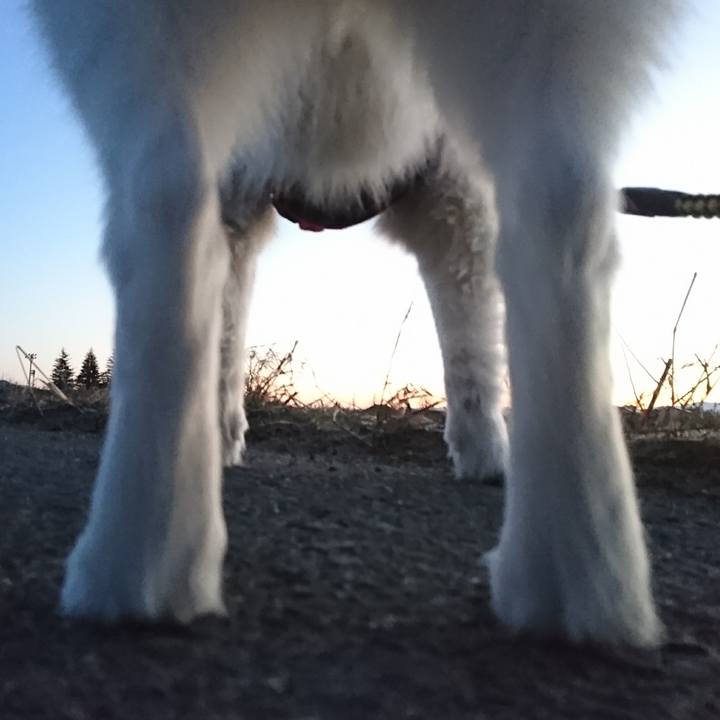 D18edbdd b27b 4e3a ad89 c9b93f3774d7 1515793887491