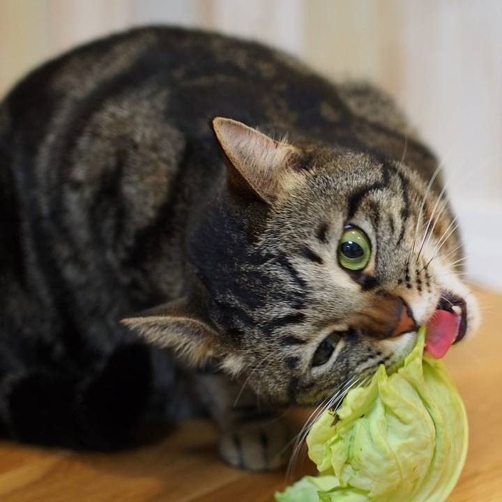 D18ef129 4de2 4f96 8293 4a1384c1d2d9 1554287396032