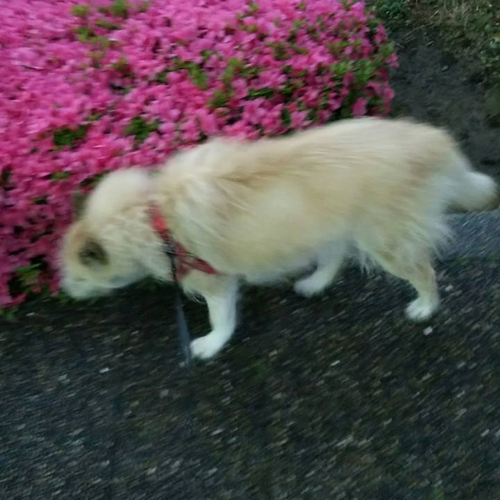 D18f23d1 8b6c 46be a7e2 a5697fe73990 1527069591697