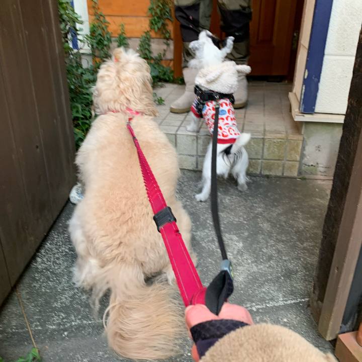 D18f2fae 3d69 4cc4 b952 76d120248928 1705564669583