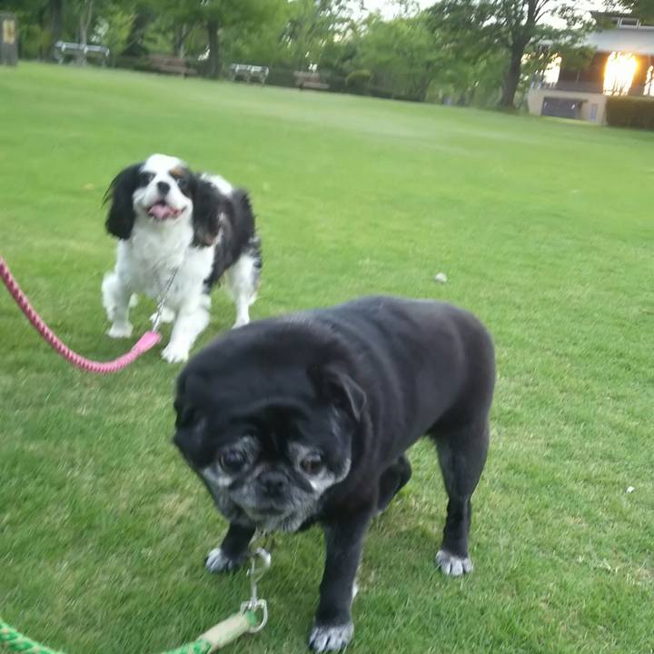 D18f7ff7 fe92 4ceb 8714 f703f803f0d0 1528971671047