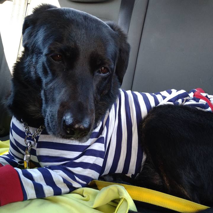 D18fb065 f80d 47a6 9b4c 3a0133d41a8a 1613629302428