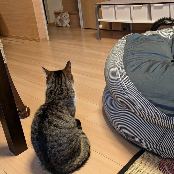 D18fbe8c e433 4741 820c af1839ba91e7 1721168622934