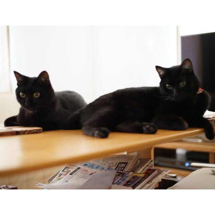 D18fc6f9 678c 4ab0 bb84 9ca4b7026fa2 1531871916176