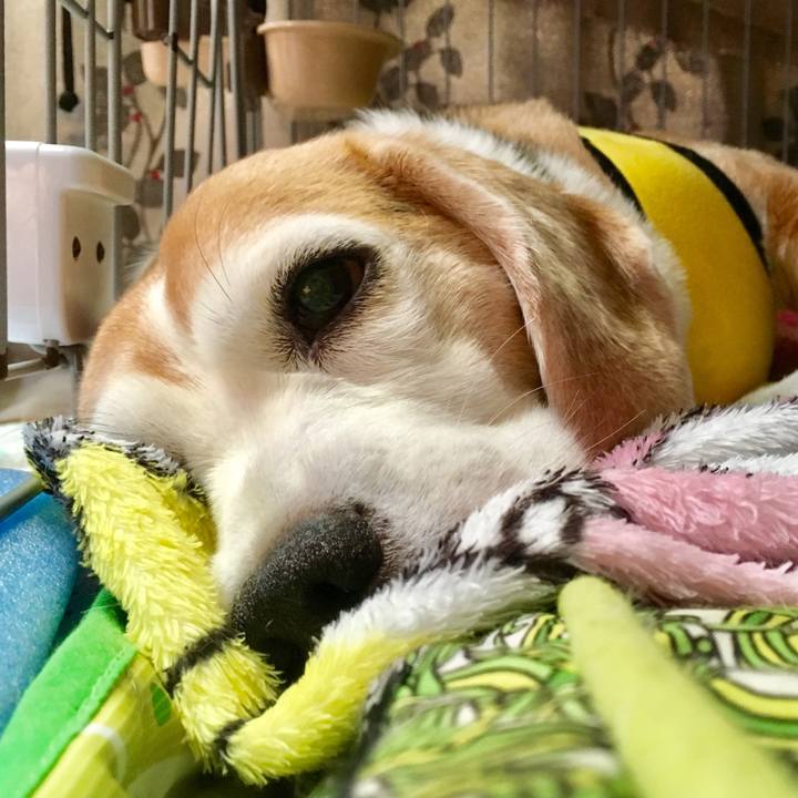 D18fd35a 60a8 4777 a3a5 4a3019259199 1565235804235