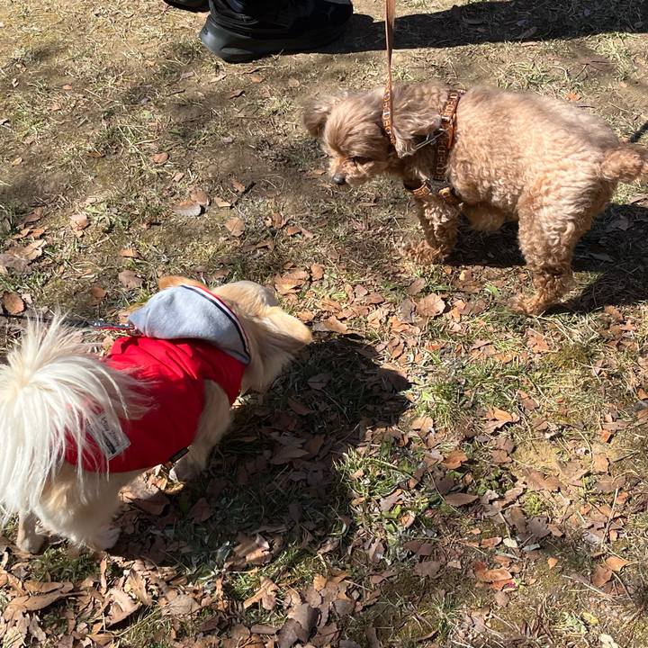 D18fe9a1 9d98 4341 8c90 75cd1363d346 1740368747265