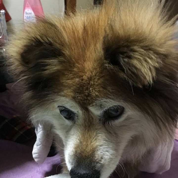 D1903eb4 ab53 47aa a8e8 e2f34217bcbe 1611716479612