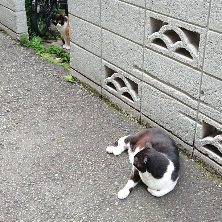 D1904123 65cb 4017 97f8 448b392b0369 1592986583364