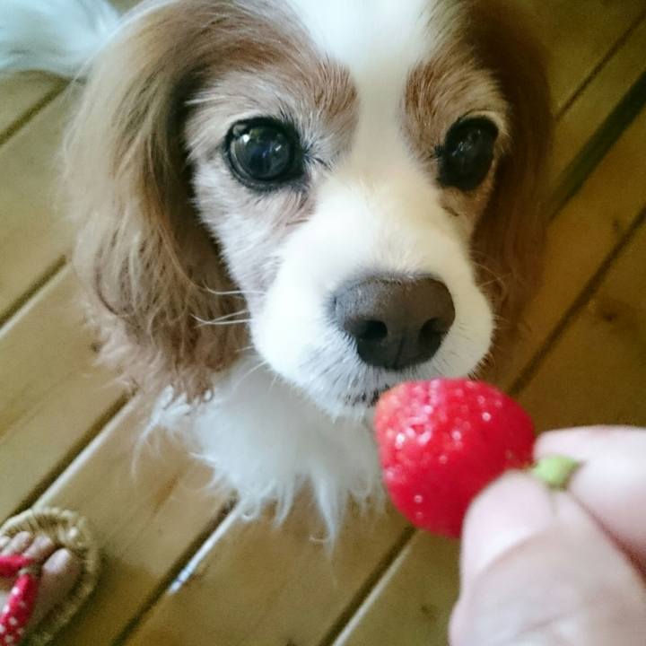 D1909167 fdcf 4e1b aa79 27f6d5749ece 1559194822912