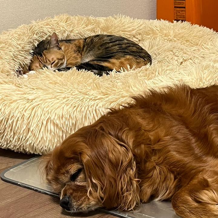 D190be4a 0cfe 4477 93e0 896ac1997e9d 1728738038774