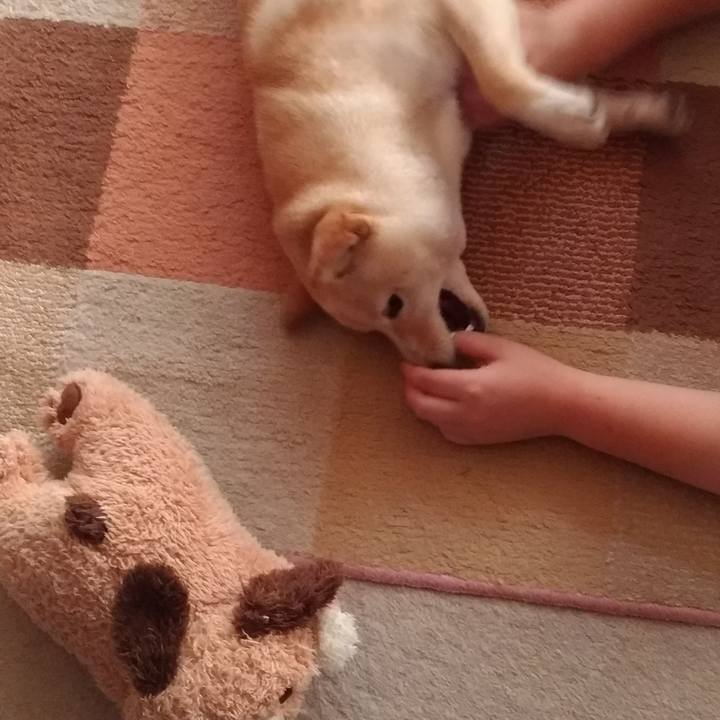 D190cbd9 7d58 4f8c 87b2 ec247fbc2710 1558913483780