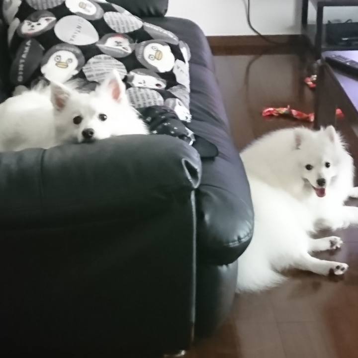 D190f24e cc0a 4411 b7c3 be1880baa4b3 1563342009211