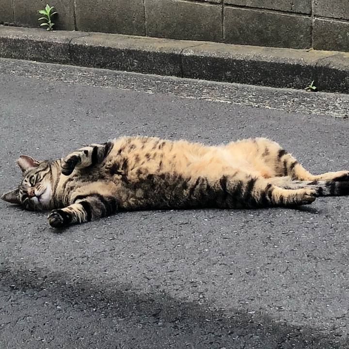 D190f2aa c7ca 4c68 bc51 cf9d5de484f8 1526597942204