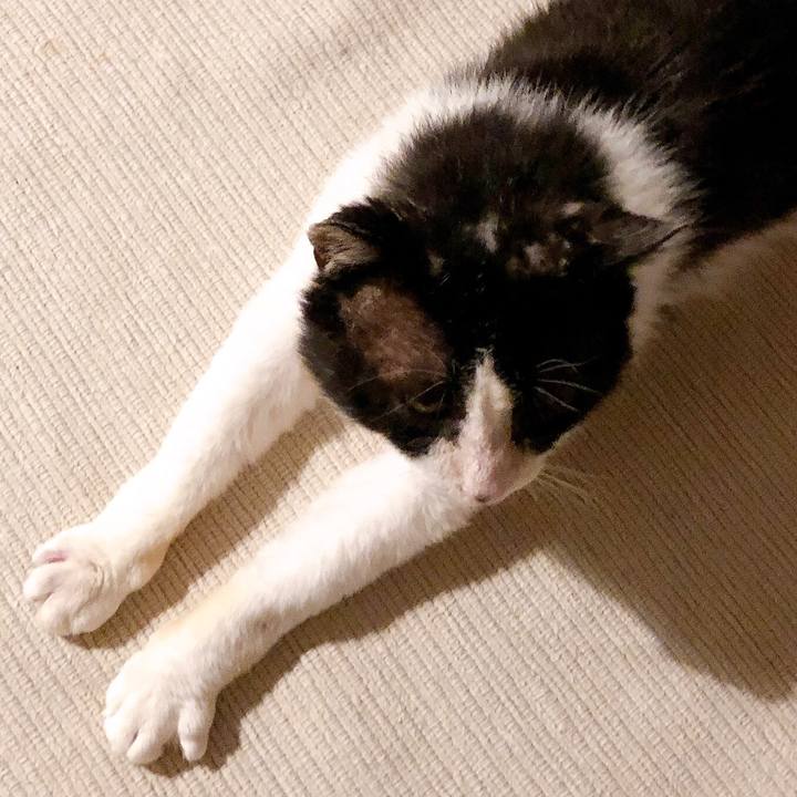 D190f9da 466a 42b3 884f cb89f5cfd0bd 1619009050392