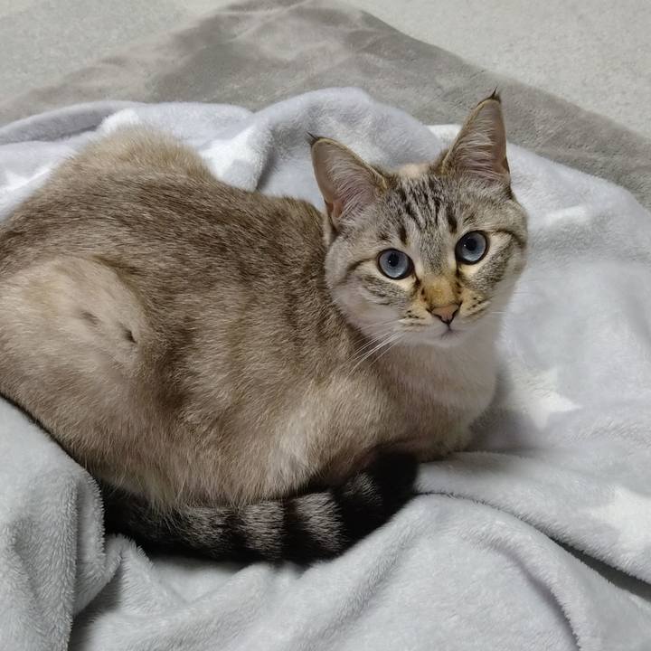 D1910c11 331c 4f43 aaa8 e71e60abe50c 1615288647877