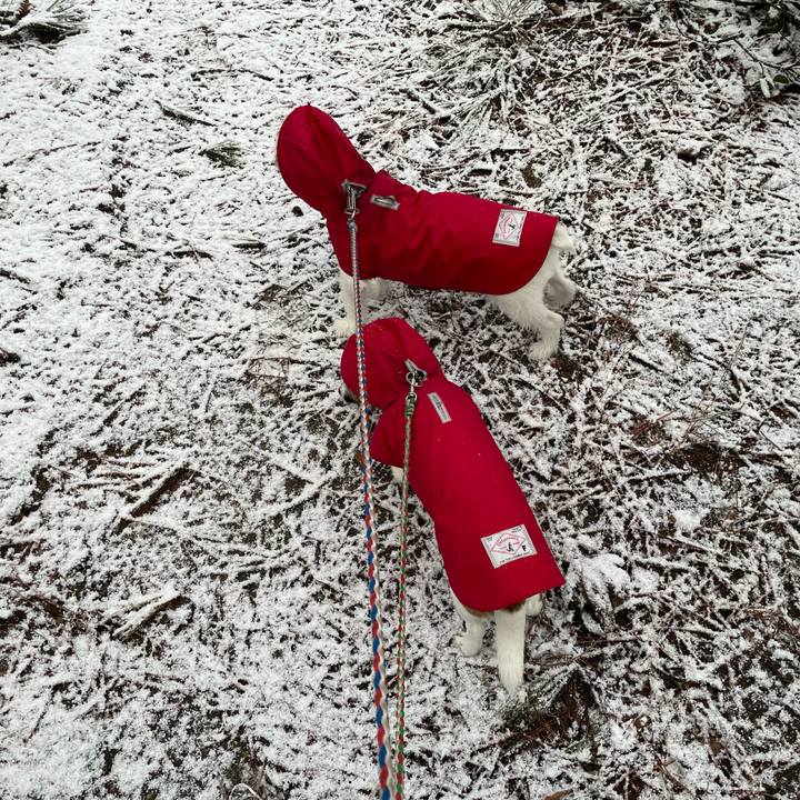 D191155f e9c6 4024 9d9d 4dfc588ca6aa 1674257727567