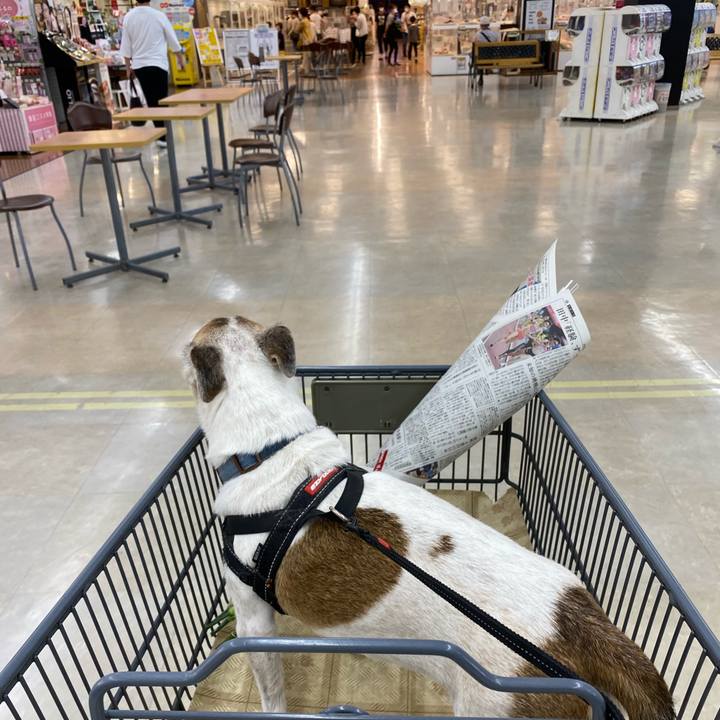 D191384a 4deb 47e5 8c7b 482611dcbae4 1631942867985