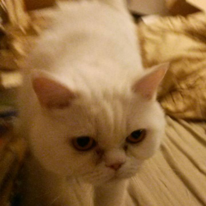 D1915324 09c6 4382 996a 0350740be57b 1511683582314